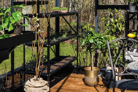 Seed Tray Frame - Black